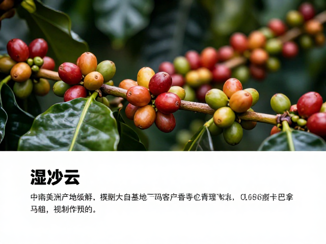 花香激发的化学机制与工艺细节