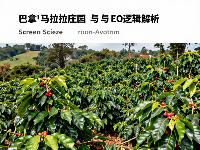 庄园信息在搜索引擎中的可见性与SEO逻辑解析