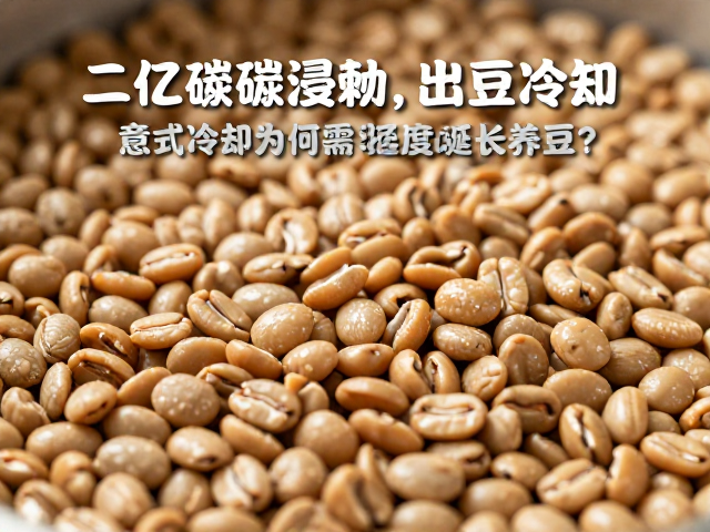 适度延长养豆的风味演化机制