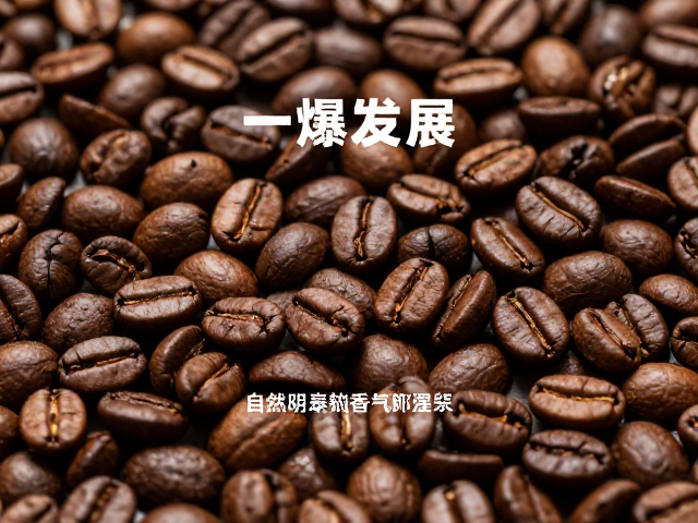 烘焙曲线调整与风味稳定性控制