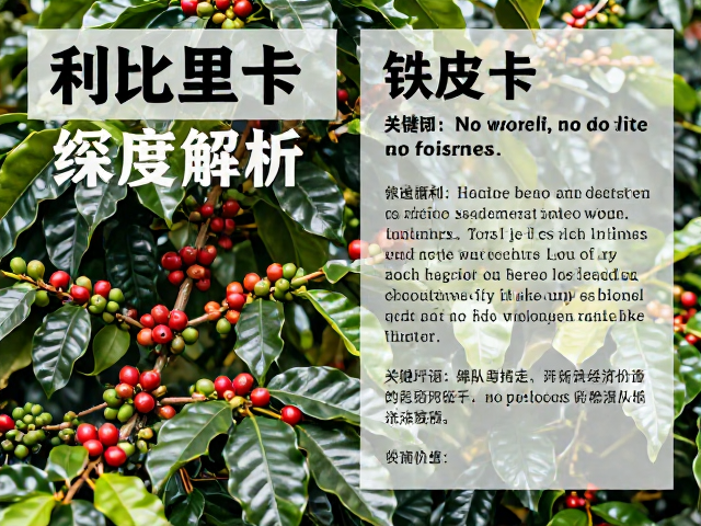市场现状与种植经济价值