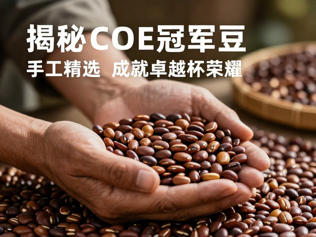 风土印记:产地环境的隐性贡献