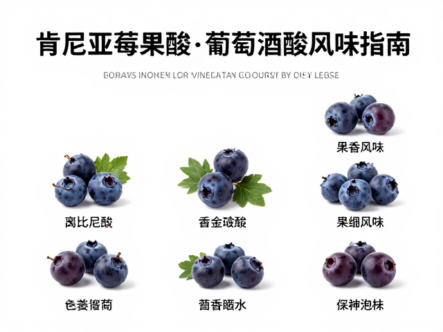 肯尼亚莓果酸，果香风味与葡萄酒酸的完美融合指南