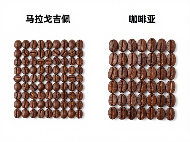 风味物质基础与加工方式的耦合效应