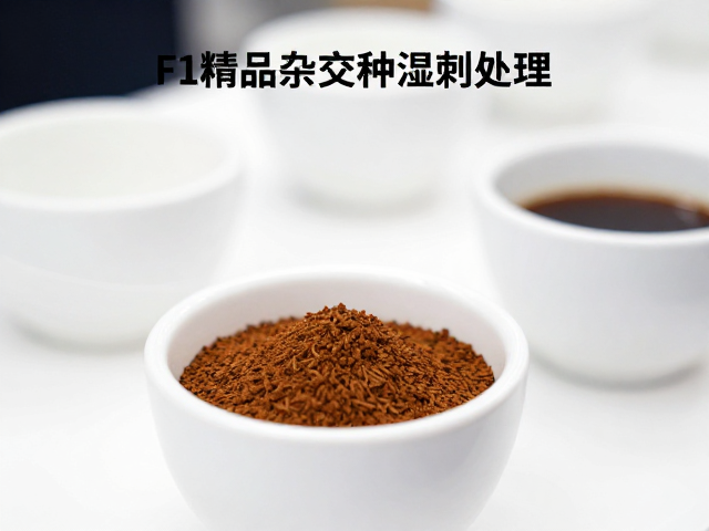 杯测感官维度的量化评估与优化策略