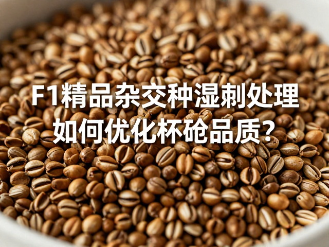湿刨工艺对F1精品种籽物理特性的重塑