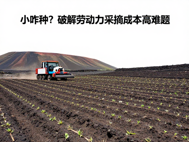 机械化作业与省力化种植模式