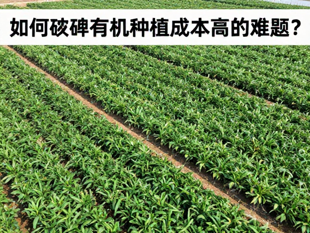 标准化连片庄园，机械化采收，如何破解有机种植成本高的难题？