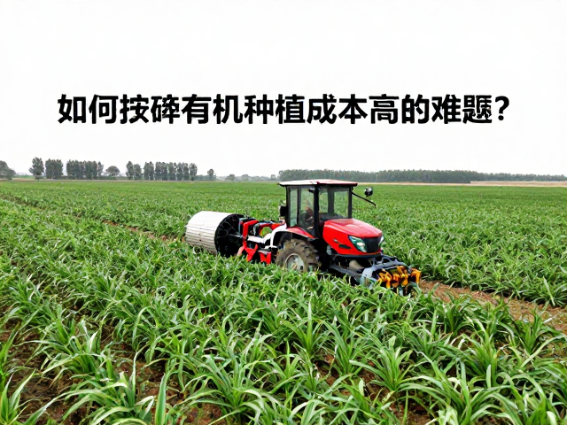 数据驱动的管理优化与精准投入