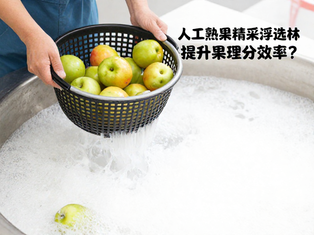 人工熟果精采浮选技术,采摘篮如何提升果实分拣效率?
