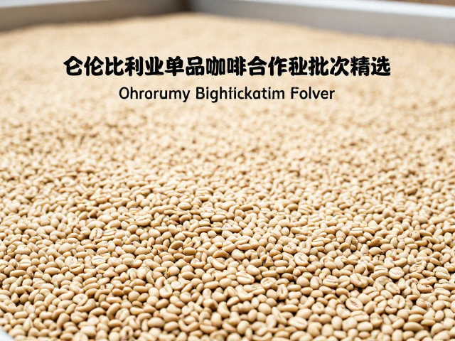 合作社模式下的生豆处理与品质管控