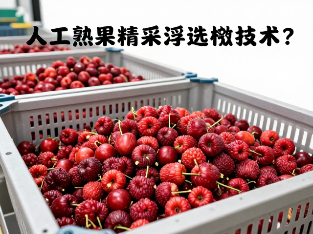 采摘篮在分拣链路中的功能性重构