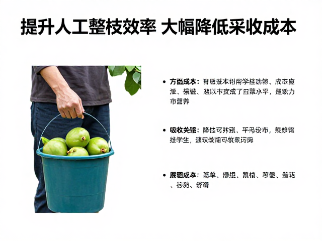 实际成本节约与效率提升的数据逻辑