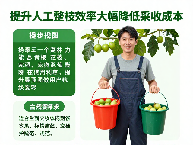 选型要点与日常维护规范