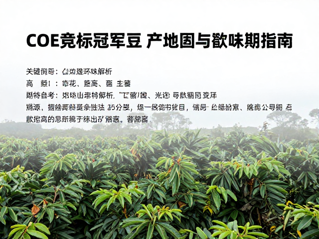 COE竞标冠军豆,蜜处理风味解析及烘后最佳赏味期指南
