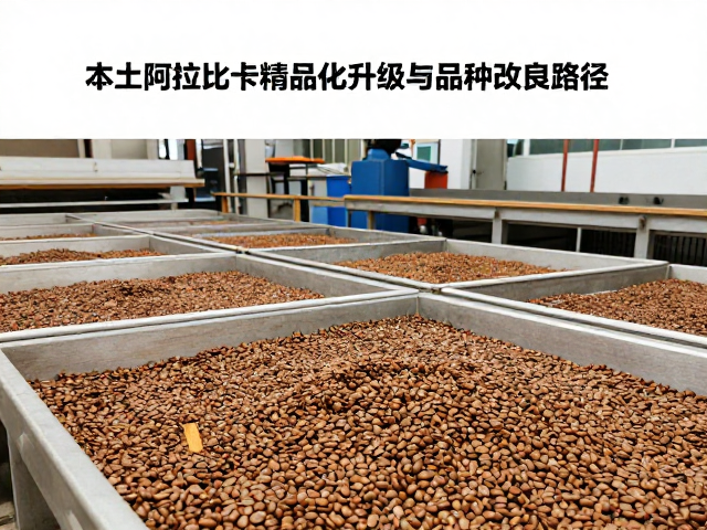 精品化加工体系的重塑与微批次处理创新