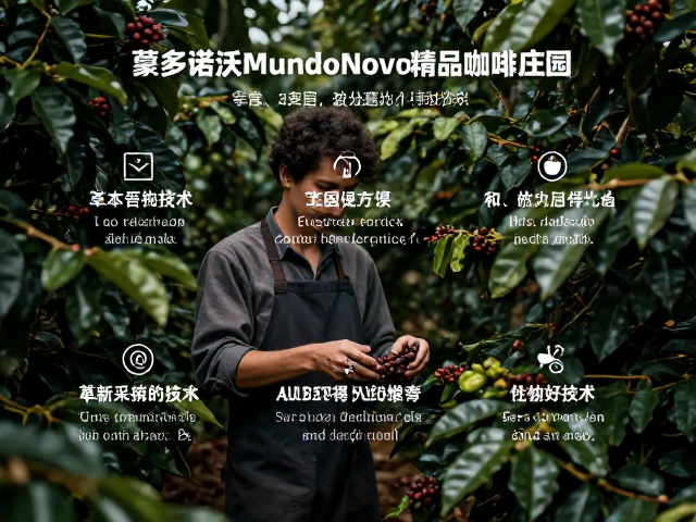 成本结构优化与运营效率提升