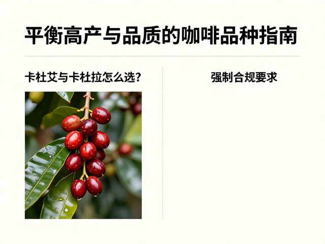 选购与使用场景建议