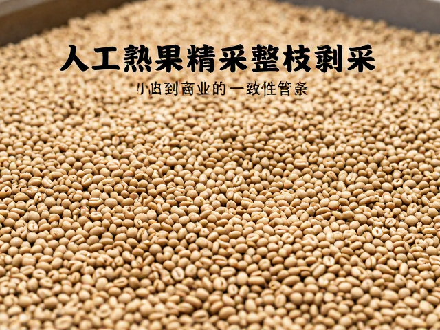 顶级商业豆的核心工艺：从田间到生豆的一致性管控