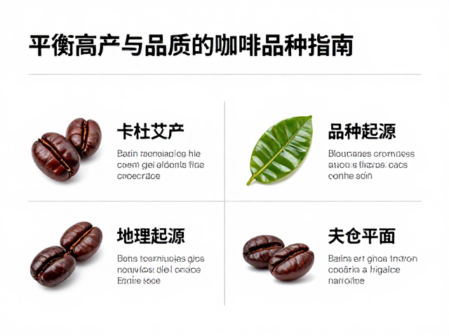 品种特性与地理起源的差异