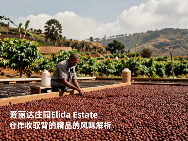 爱丽达庄园Elida Estate日晒处理，合作社收购背后的精品咖啡风味解析