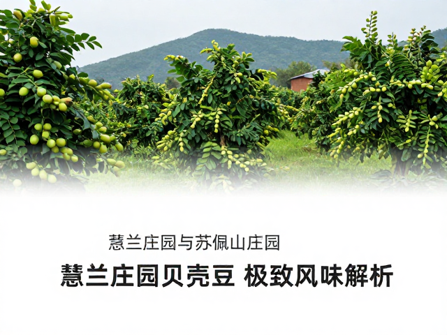 感官品鉴中的风味维度解析