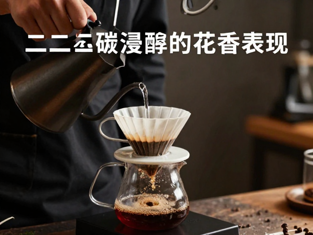 感官体验与冲泡表现的关联