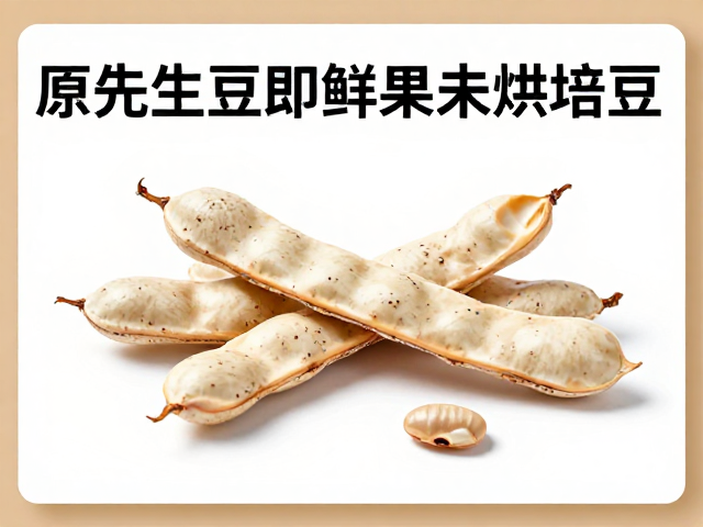 科学储存与长期维护建议