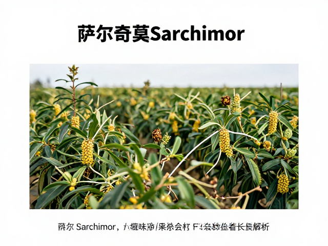 产地环境对风味的塑造