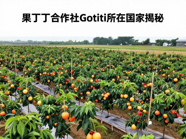标准化种植流程与品质控制体系