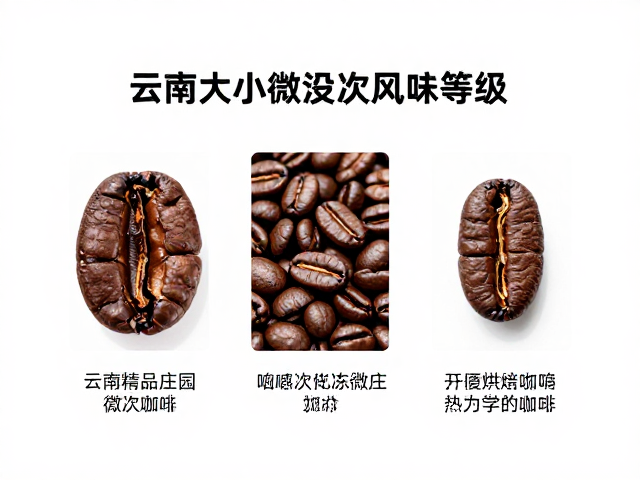 烘焙响应:密度对热力学过程的调控