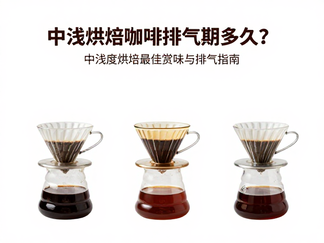不同冲泡方式对排气状态的适配