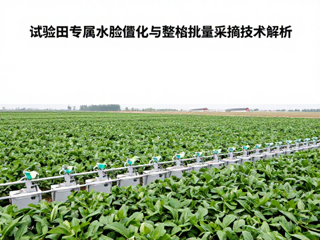 水肥一体化系统的精准调控与效能分析