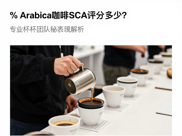 % Arabica品牌下的SCA评分表现解析