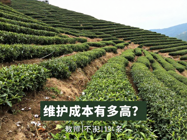 基础设施改造与日常维护的经济账