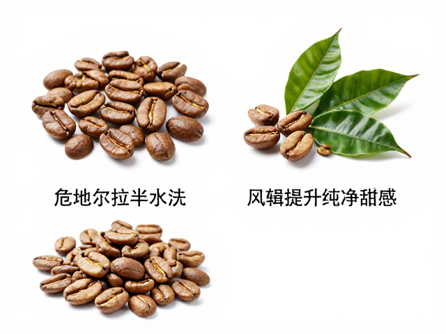 危地马拉半水洗咖啡，如何降低草本感，提升纯净甜感？