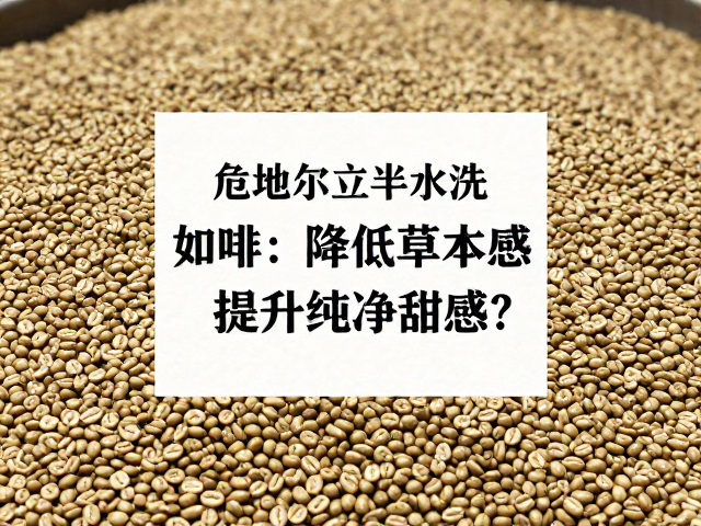 发酵阶段的精准控温与时间管理