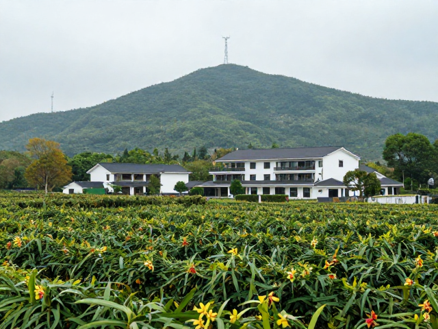 慧兰庄园与苏佩山庄园，选择性采摘与Processing工艺详解