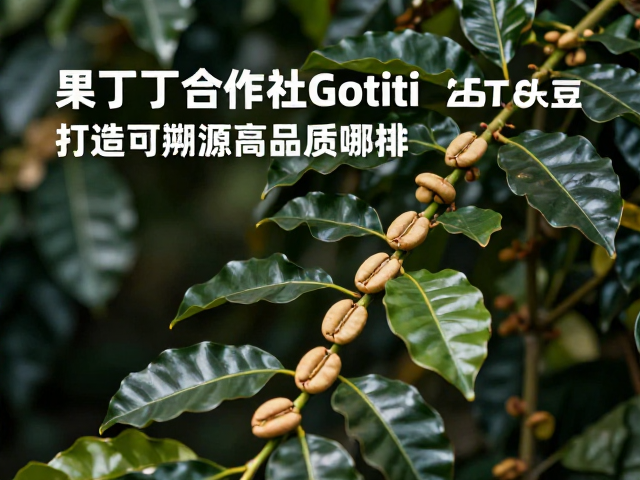 生态种植与社区发展的协同效应