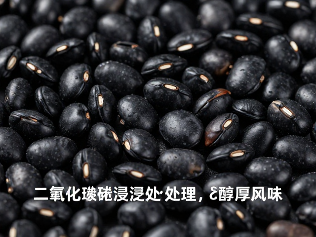 黑豆质地硬难冲煮?试试二氧化碳浸渍处理,解锁醇厚风味