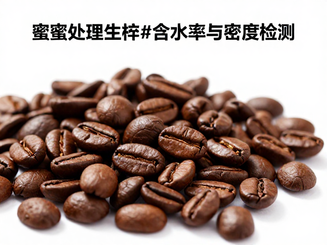 密度检测在筛选瑕疵豆与评估烘焙表现中的应用逻辑