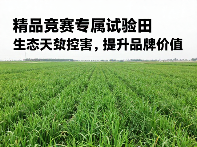 精品竞赛专属试验田，生态天敌控害，提升产地品牌价值