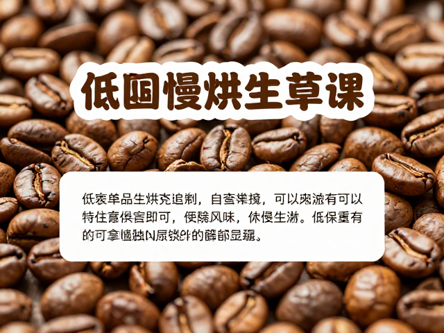 低温慢烘与风味物质的留存逻辑