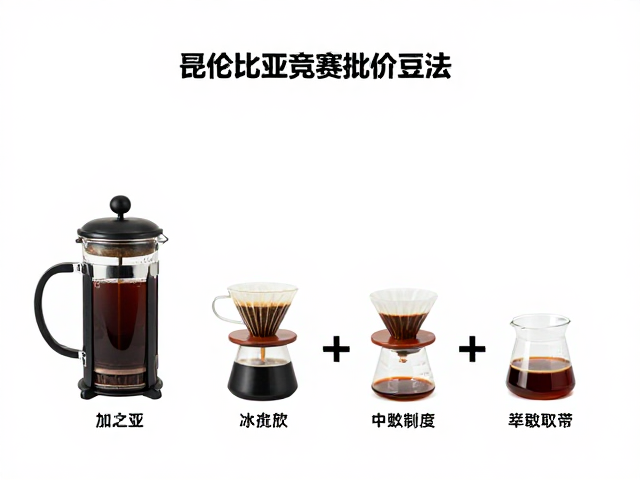 哥伦比亚竞赛批次豆法压壶冲煮指南，解锁高风味层次