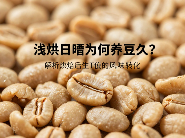 浅烘日晒豆为何养豆久?解析烘焙后生豆的风味转化