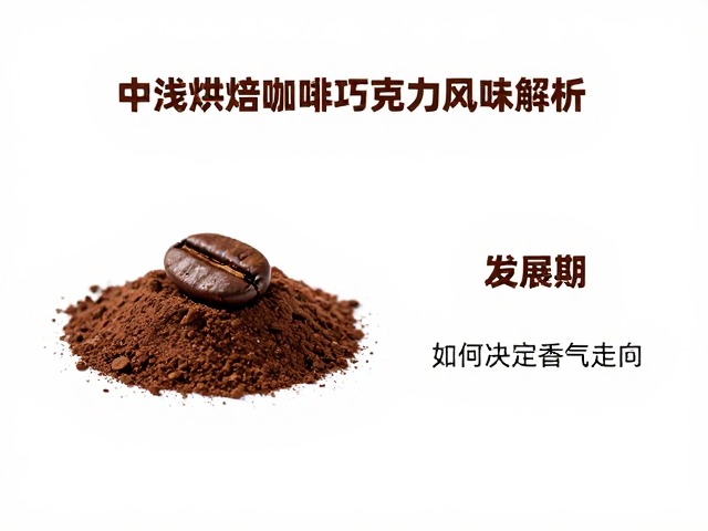 中浅烘焙咖啡巧克力风味解析，发展期如何决定香气走向