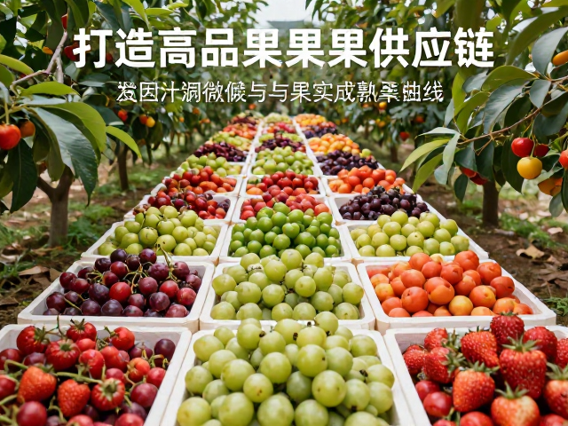 分批采摘：动态管理果园微气候与果实成熟曲线
