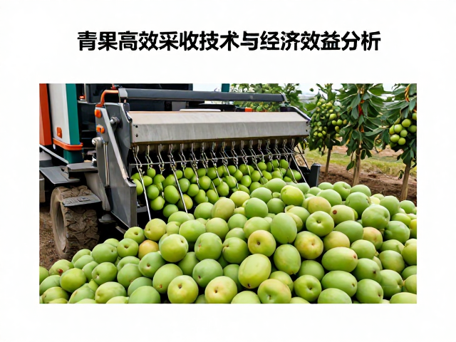 适用场景选择与长期产业效益考量