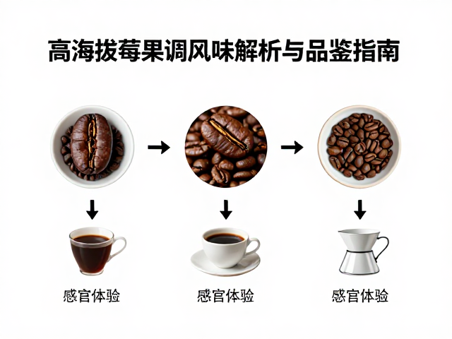 冲煮参数与感官体验的联动关系