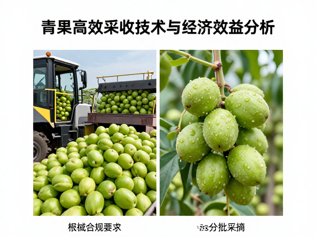 采收效率与作业成本的经济模型对比